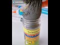Iron Powder Vs Magnet Amazing Unexpected Lab Iron Powder Vs Magnet Amazing Unexpected Lab