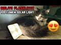The Best Solar Lanterns For Camping & Hiking【Review57】