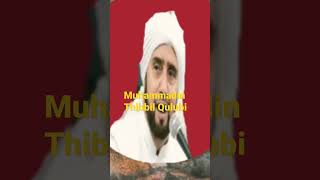Sholawat Tibbil Qulub musik shorts shorts shortsmusik fyp fyp habibsyech musikislami