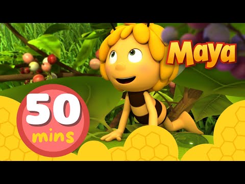 La Abeja Maya 🐝  50 minutos | Episodios completos 1-4 |