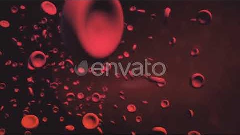 Red blood cells | Motion Graphics - Envato elements