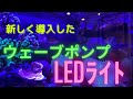「海水魚水槽」新しく導入！ウェーブポンプとLEDライト