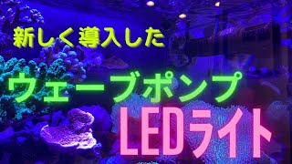 「海水魚水槽」新しく導入！ウェーブポンプとLEDライト