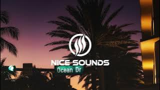 Svet - Silence ft. Diana Inez (Juloboy Remix)