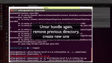 8 - Download ODL, start, check for exceptions, fix a bug, and stop controller on the ODL Dev VM