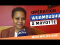 Affaire des mahorais  dcryptage de la situation avec mbaba halidi