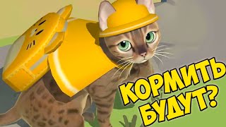 Отель курорт Котята Кэт сим, котов и кошеккошачий.