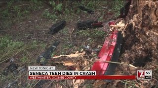 Teen killed in Oconee Co. single-car crash