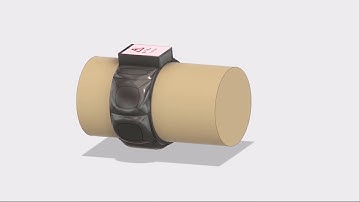 Biosensor using optic SPR through
