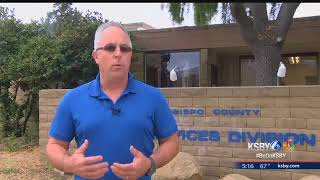 SLO County Animal Services shelter at capacity for cats