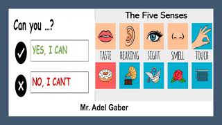 G5 U3 L6 Five Senses&  Can /Can't(Listening Skills)