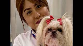 LAX PUPs at Home: Meet the LAX therapy dogs - Bela
Our beloved LAX Pets Unstressing Passengers (PUPs) cant see you at the airport right now as we practice social distancing, so we are bringing them into your home for a visit. LAX PUPs at Home: Meet the LAX therapy dogs - Bela