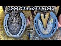 Shire horse  hoof restoration  huge feet