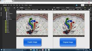 Crypnography! CS50 Final Project