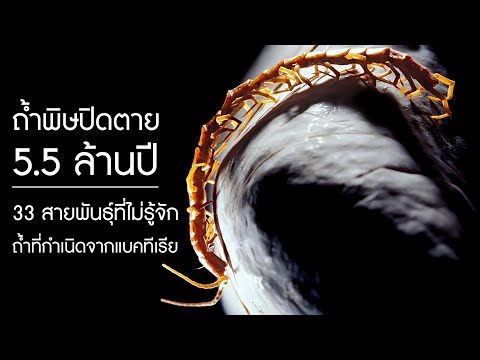 ถ้ำนรกพิษ 'ปิดตาย 5 5 ล้านปี' บ้านของ 33 สายพันธุ์ที่ไม่รู้จัก กับการกำเนิดถ้ำจากแบคทีเรีย