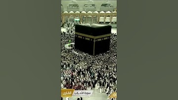 سورة الأحزاب ٥٦