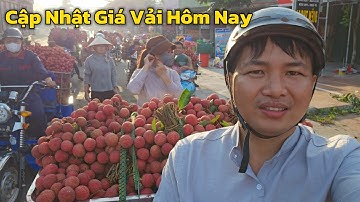 Cập Nhật Giá Vải Bắc Giang Mới Nhất Hôm Nay
