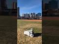 Autonomous turf painting robot revolutionizes maintenance of Denver sports fields