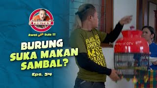Download Lagu Burung Sule Suka Makan Sambel? I AWAS ADA SULE SEASON 2 I EPS. 54 MP3 Download Lagu Burung Sule Suka Makan Sambel? I AWAS ADA SULE SEASON 2 I EPS. 54 MP3
