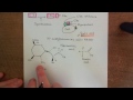 The Alternative Complement Pathway Part 1