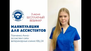 Манипуляции для ассистентов | Ветеринарная школа