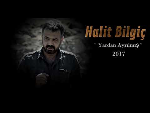 Halit Bilgiç - Yardan Ayrılmış