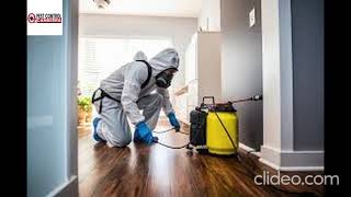 Pest Control Scullin | Pest Control in Scullin | Scullin Pest Control