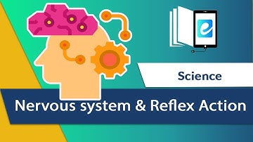 Actions controlled by nervous system & Reflex Action|| Animated science video || elearn K12