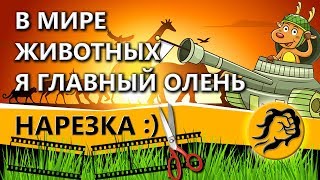 В МИРЕ ЖИВОТНЫХ и ГЛАВНЫЙ ОЛЕНЬ В НЁМ - Я В МИРЕ ЖИВОТНЫХ и ГЛАВНЫЙ ОЛЕНЬ В НЁМ - Я