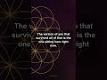 The version of you that survived all of that is the one sitting | 432 Hz #shorts