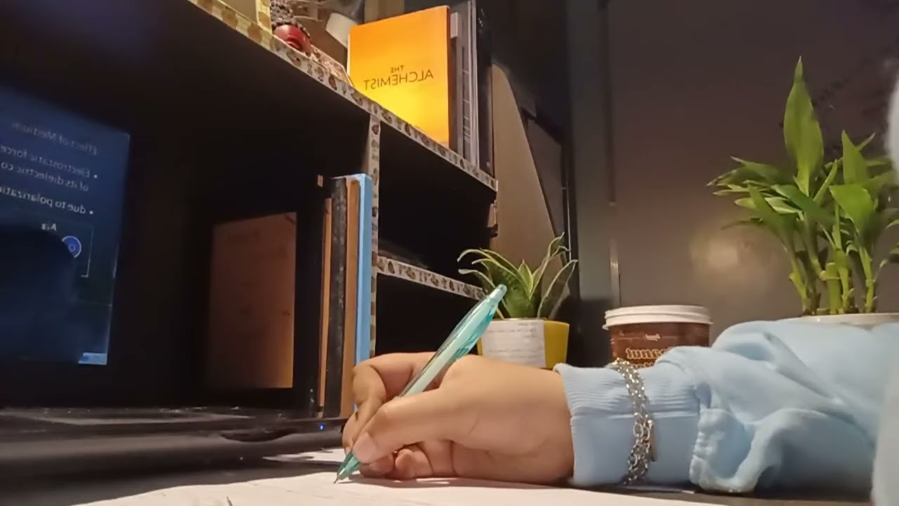 Study with me live❤️✨ lofi music