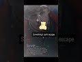 #edit #willbyers #strangerthings #mikewheeler #byler #endgame ￼