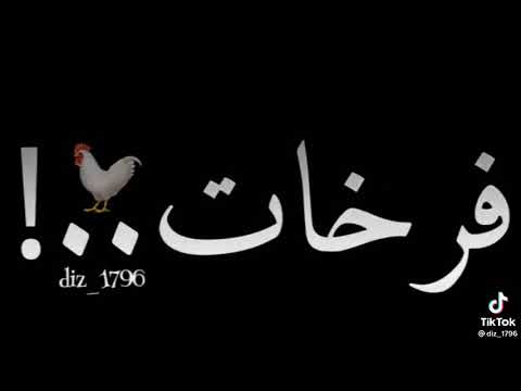 اربع فرحات ودجاجه