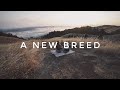 A New Breed - David Morton (CINEMATIC MUSIC)