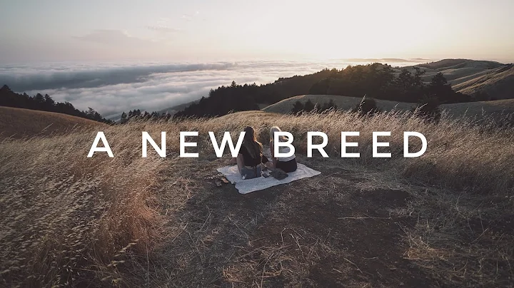 A New Breed - David Morton (CINEMATIC MUSIC)