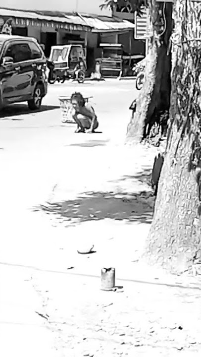 Wanita 'cantik ' lakukan aksi Bugil di Jalan Samanhudi , Kota  Binjai