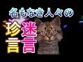 ワイと学ぶ、名もなき人々による珍言・迷言・名言