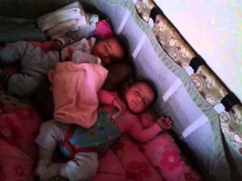 მაცივარი 2