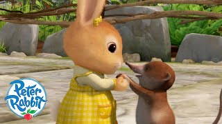 ​@OfficialPeterRabbit ​ Sharing is Caring ❤ | Be Kind to Others | Cartoons for Kids