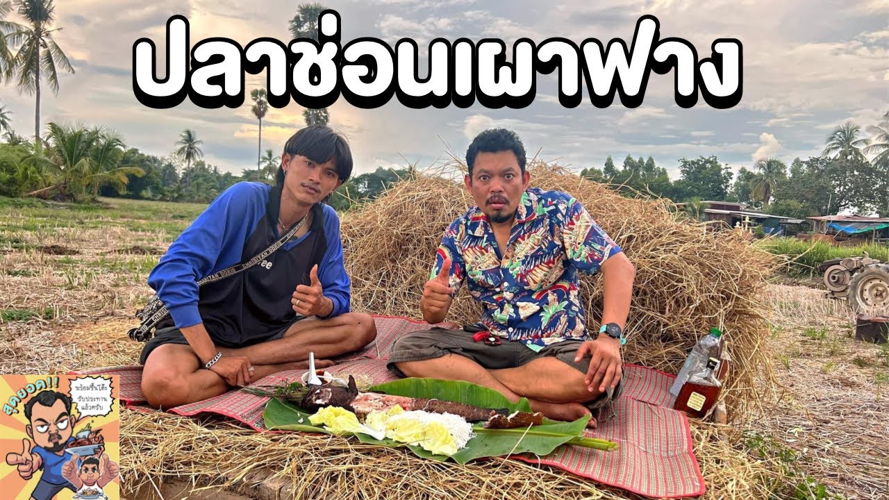 ปลาช่อนเผาฟาง โหน่งโชว์