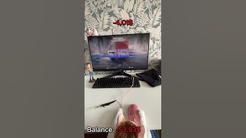 My cat open cases # #cs2 #cs2stream #gaming #cs2clips #cat #cs2live #gamer #opencase #csgo