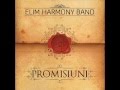 E un prieten [Otto Pascal] - Elim Harmony Band 2014