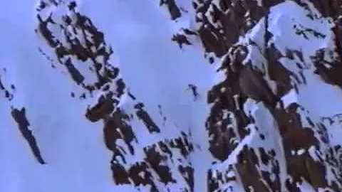 Momentum-snowboa...  video (1999)