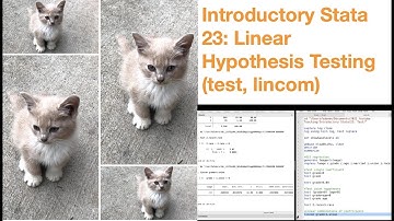 Introductory Stata 23: Linear Hypothesis Testing (test, lincom)