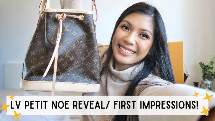 Returning Louis Vuitton Petit Noé? My Honest Review + Bonus Organizer Tips  😲 