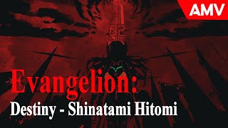 Destiny - Evangelion AMV