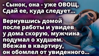 Вернувшись домой и увидев скорую, мужчина вбежал в квартиру, и обомлел от увиденного Истории любви