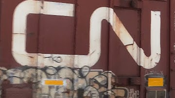 CSX With Family Lines & Seaboard System Covered Hoppers