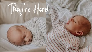 Growing Twins | They're Here!