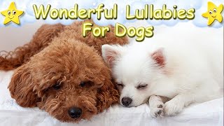 Relaxing Music For Pomeranian And Poodle Dogs And Puppies ♫ Calm Your Dog Effectively screenshot 5